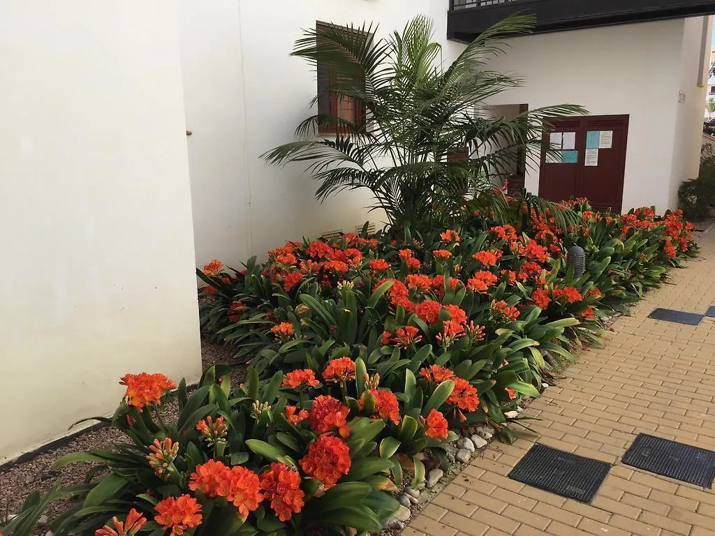 Apartamento Venavera Playa Jardines De Nuevo Vera J2-2C Atico Primera Linea Wifi Apartment